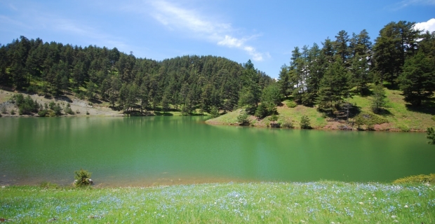 Aksu Göleti, Çorum'un üçüncü tescilli Tabiat Parkı oldu