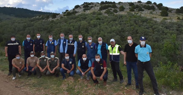 Çorum'un 156 hektarlık yeni ormanı var