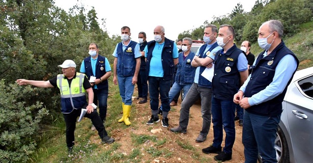 Çorum'un 156 hektarlık yeni ormanı var