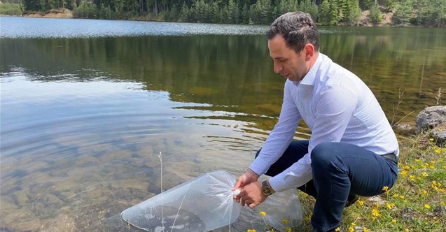 Gökçedoğan'a 10 bin adet balık bırakıldı