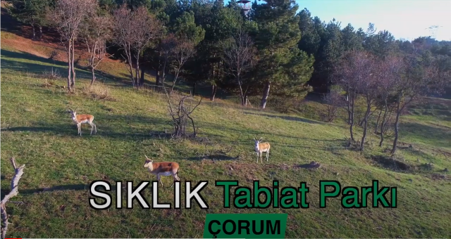 Sıklık Tabiat Parkı ziyaretçilerini bekliyor