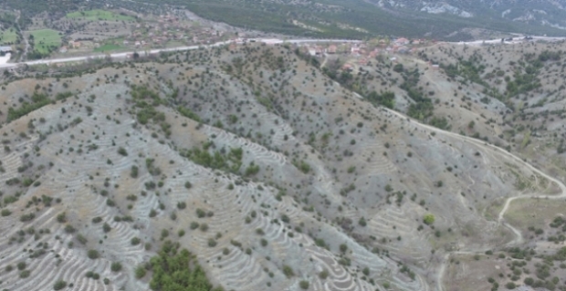 Kargı, yeşille donatılıyor