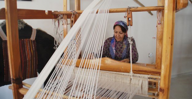 Halk Eğitim Merkezi, 5 kurs birden açıyor