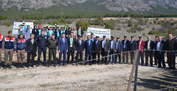Doğaya 250 fidan...