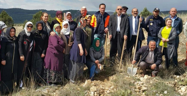 Ak Kadınlardan şehitler anısına fidan