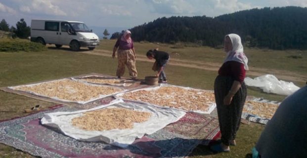 Kışın habercisi tarhanalar hazırlanıyor