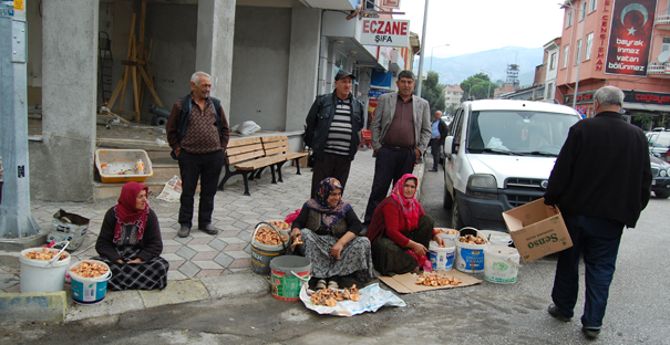 Kargı’da mantar sofralardaki yerini aldı