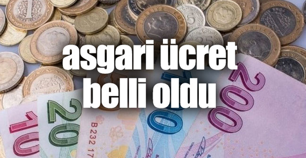 Asgari ücret 2 bin 20 TL