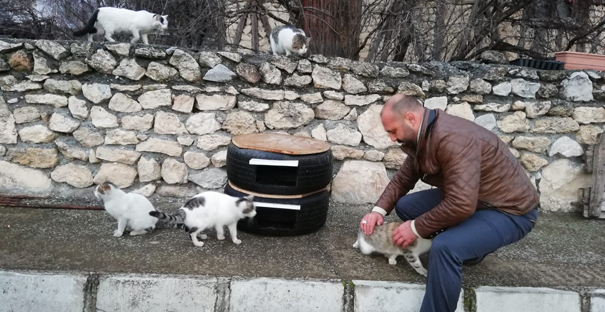 Lastikten kedi evi yaptı