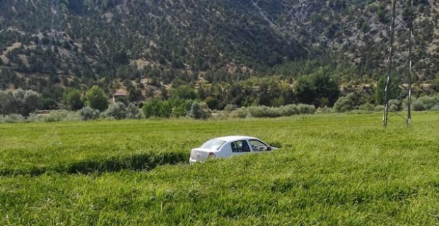 Otomobil çeltik tarlasına uçtu