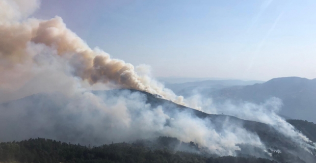 Kargı'da orman yangını! Havadan müdahale ediliyor