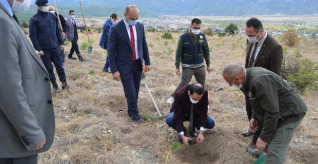 Kargı yeşile bürünüyor