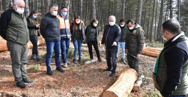 'Ormanların geleceği garanti altında tutulmalı'