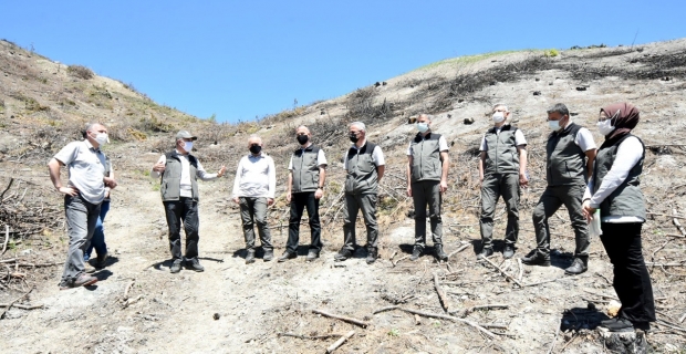 'Yangın görmüş sahaları küllerinden yeşerteceğiz'