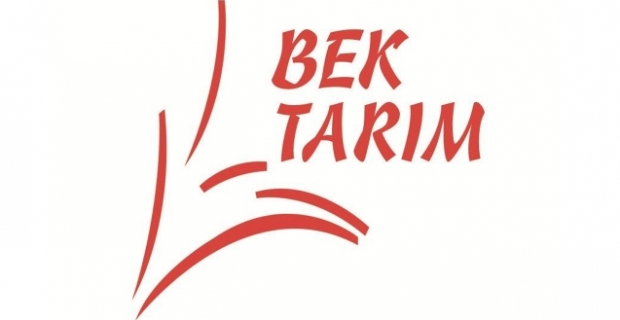 Bek Tarım, Devler Ligi'nde