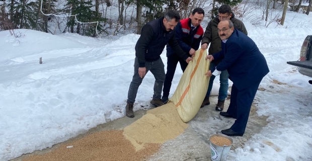 Yaban hayvanları için yem bırakıldı