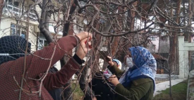 Kadınlar ağaç budama kursunda eğitim aldı