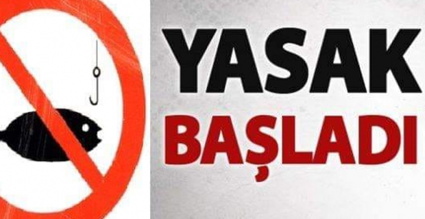 Balık avı yapanlar dikkat! Av yasağı başladı