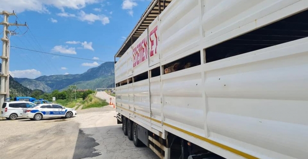 Kargı'dan gelen kurbanlıkların yol kontrolleri yapıldı