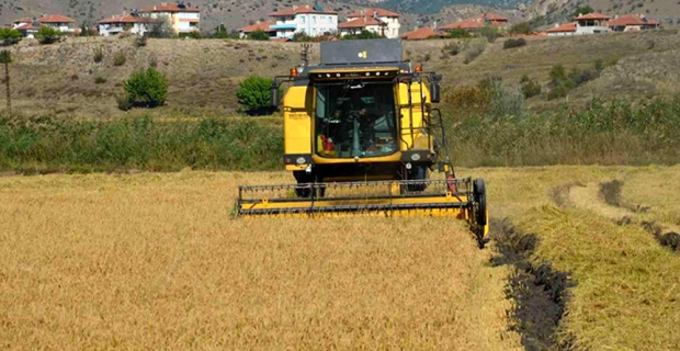 Çeltik üreticilerinin beklediği alım fiyatı açıklandı