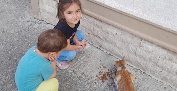 Sokak hayvanlarına 'Minik' merhamet