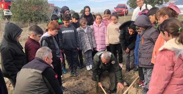 Kargı’da yüzlerce fidan toprakla buluşturuldu