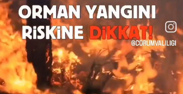 Ormanlık alanlara giriş 30 Ekim’e kadar yasak