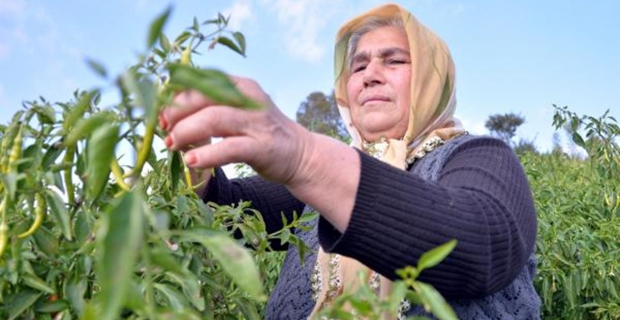 Kargı’da 8 Mart hazırlığı