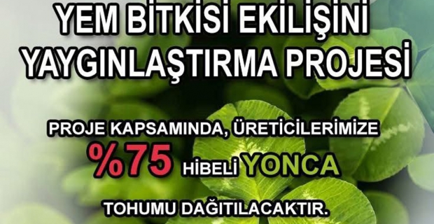 Sertifikalı yonca tohumu dağıtılacak