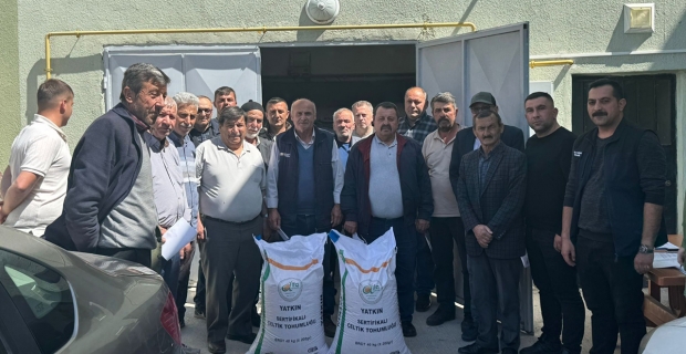 Kargı'da çeltik üreticilerine tohum desteği