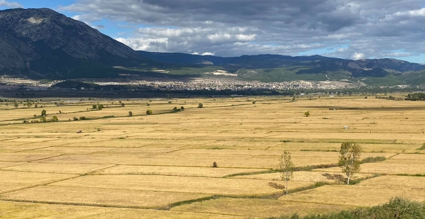 Kargı pirinç üretiminde Türkiye’nin önemli merkezlerinden birisi