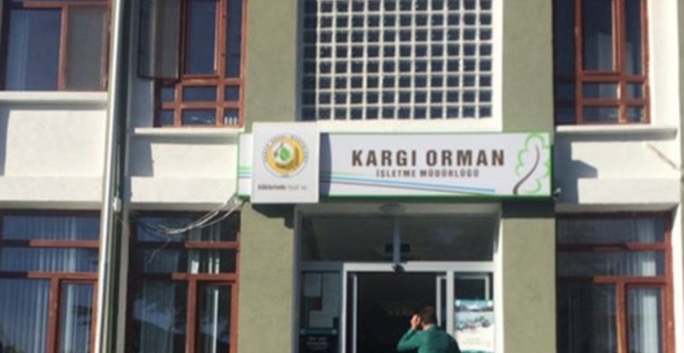 Ormanda istihdam sevinci: Kargı’dan 9 kişi işe başlıyor