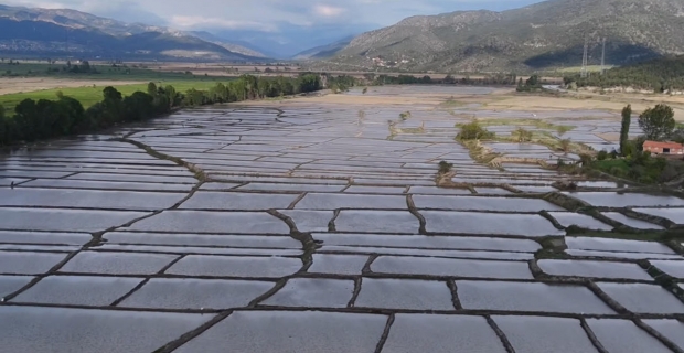 Kargı Belediyesi’nin 170 Milyonluk Çeltik Tarlası Satış İhalesi Bugün