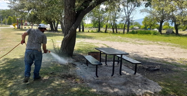 Kargı'da kene ve haşere tehdidi yok, tedbir var