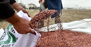Tarım Müdürlüğü yüzde 60 hibe ile tohum dağıtacak