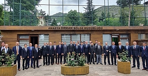 Tek bir fidanın bile yangından zarar görmesine...