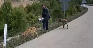 Başkan Dereli’den Sokak hayvanları ile...