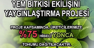 Sertifikalı yonca tohumu dağıtılacak