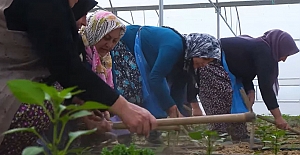 Yerel kalkınmaya ‘kadın’ dokunuşu 