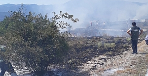 Kargı-Boyabat Karayolunda Orman Yangını: Ekipler Facianın Eşiğinden Döndürdü