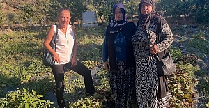 AK Parti Kargı İlçe Başkanı Demiral’dan çilek üreticisine destek sözü