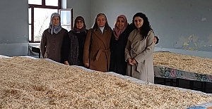 Kadın girişimcilerden yerel kalkınmaya katkı