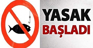 Kargı’da bazı balık türleri için av yasağı başladı