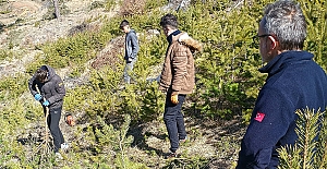 Kargılı gençler ormanlar için seferber oldu