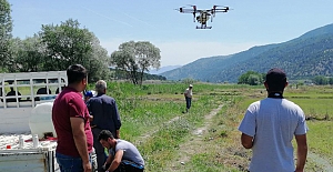 Kargılı çiftçiler çeltik tarlalarını drone’larla ilaçlıyor