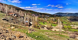 Geçmişi Erzurum'a dayanan köy "Çukuraluç"