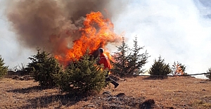 Orman yangınlarına karşı önlem alındı