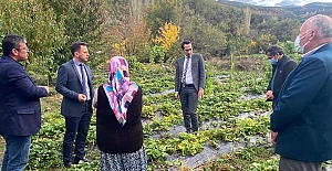 Çilek bahçesinde incelemelerde bulundu