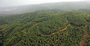 Ormanlık alanlara girişler yasaklandı