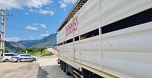 Kargı'dan gelen kurbanlıkların yol kontrolleri yapıldı